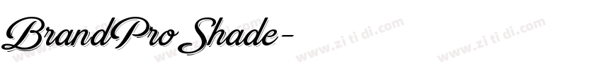 BrandPro Shade字体转换